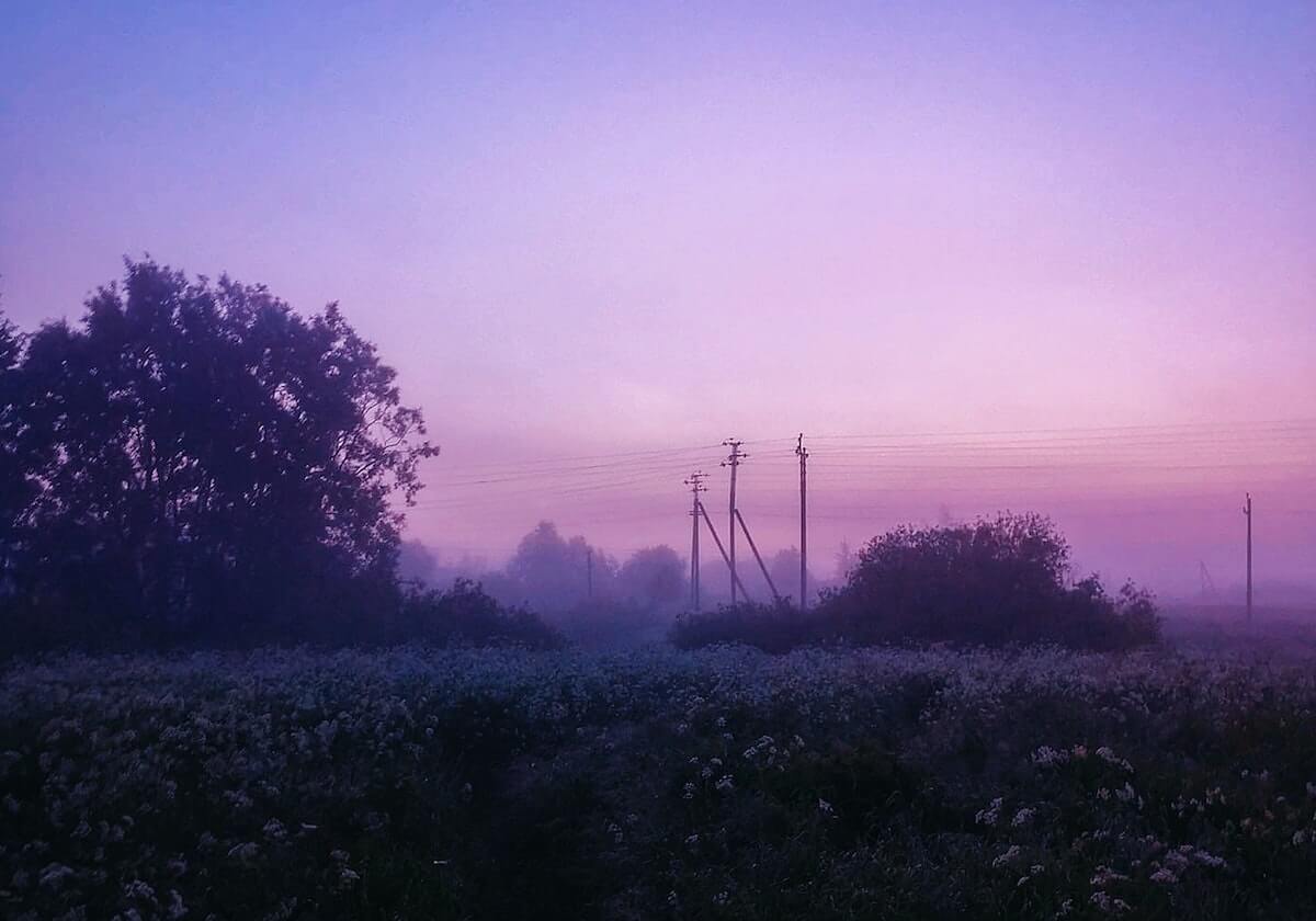 关于手机上推特的典故与传说 · 历史989
