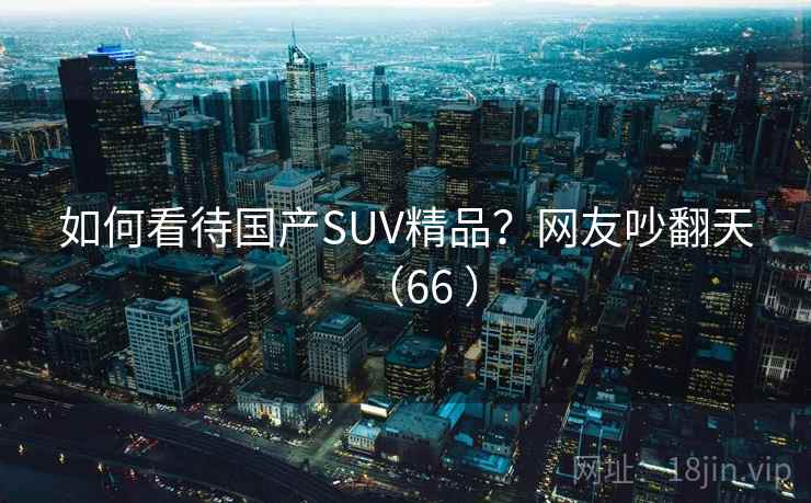 如何看待国产SUV精品？网友吵翻天（66 ）