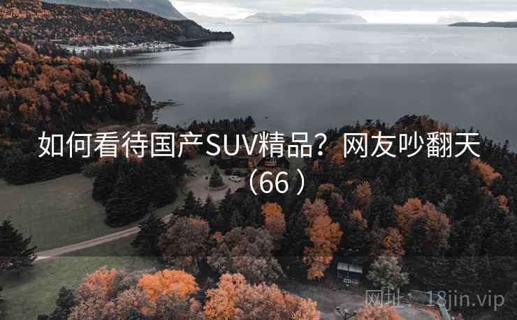如何看待国产SUV精品？网友吵翻天（66 ）